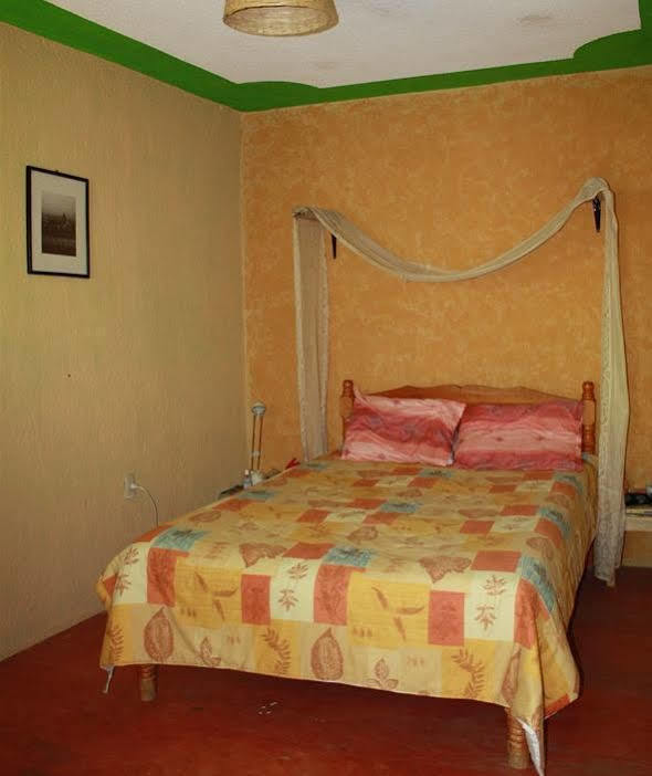Iguana Hostel San Cristobal de las Casas Exterior photo